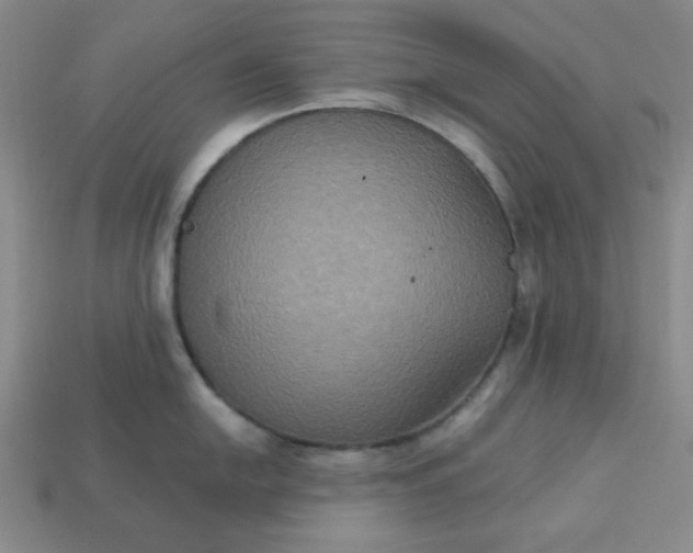 X0000113181054200909181849