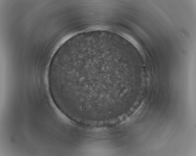 X0000113181055200909181849