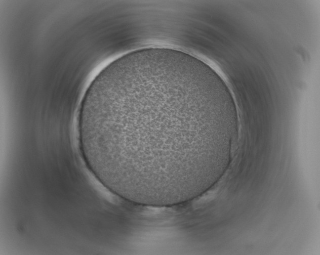 X0000113181056200909181849