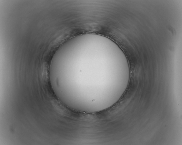 X0000113181058200909181848