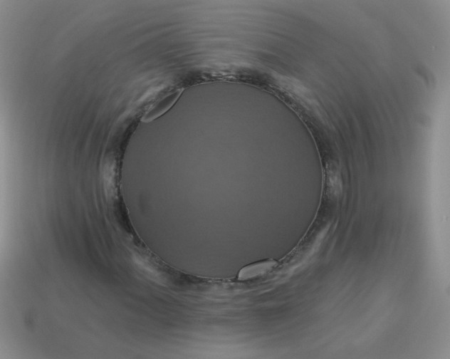 X0000113181060200909181848