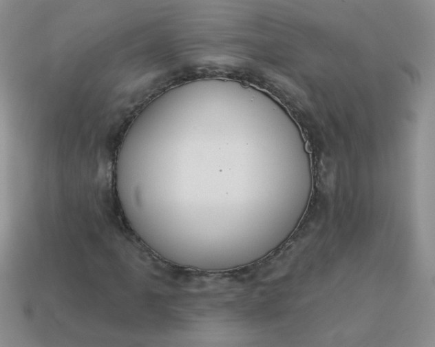 X0000113181061200909181848