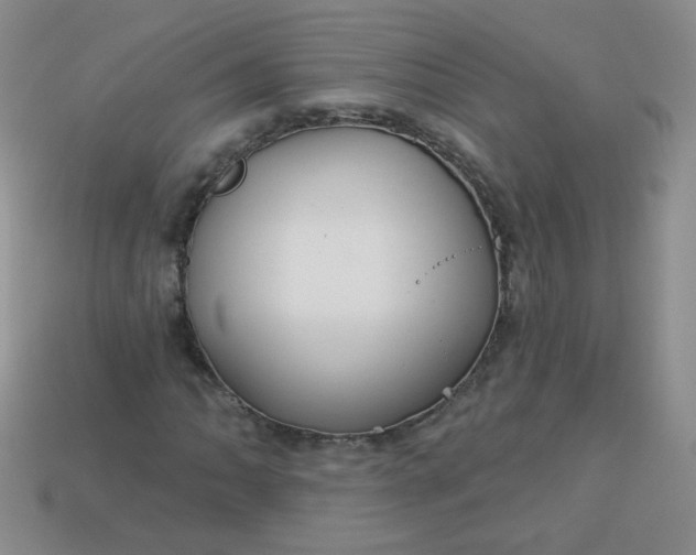 X0000113181062200909181848