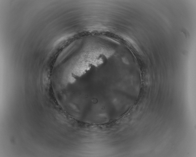 X0000113181063200909181848