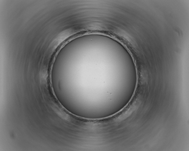 X0000113181065200909181848