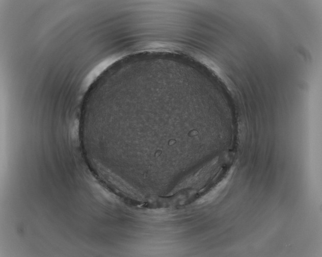 X0000113181066200909181848