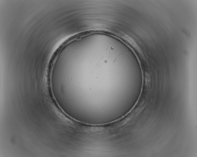 X0000113181068200909181848