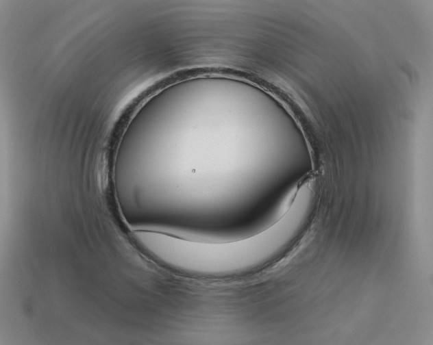 X0000113181069200909181848