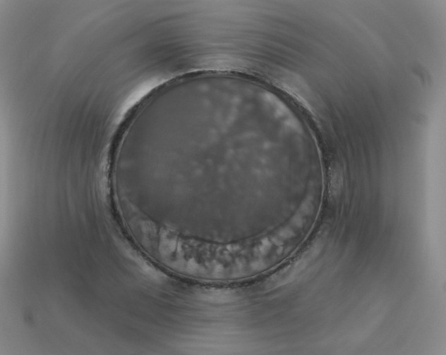 X0000113181071200909181848