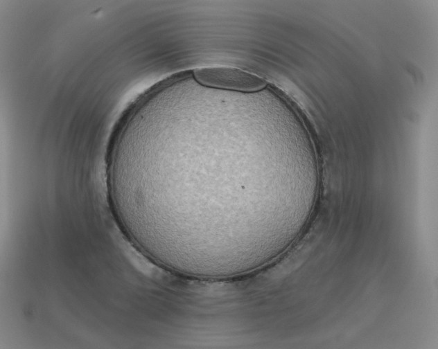 X0000113181072200909181848