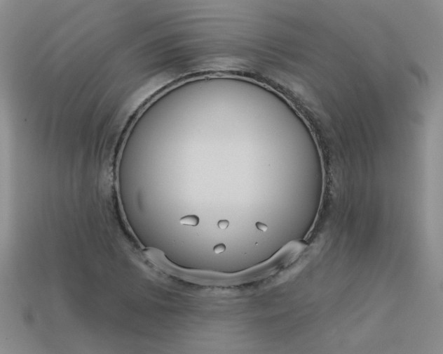 X0000113181073200909181848