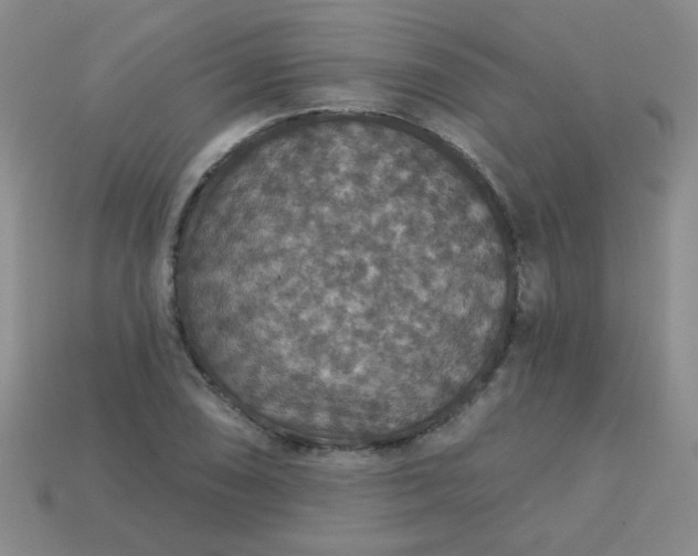 X0000113181074200909181848