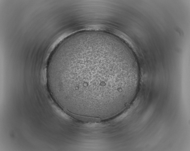 X0000113181075200909181848