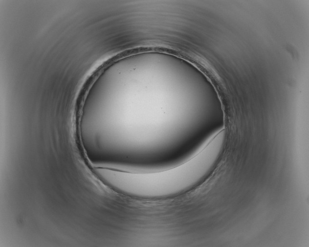 X0000113181076200909181848