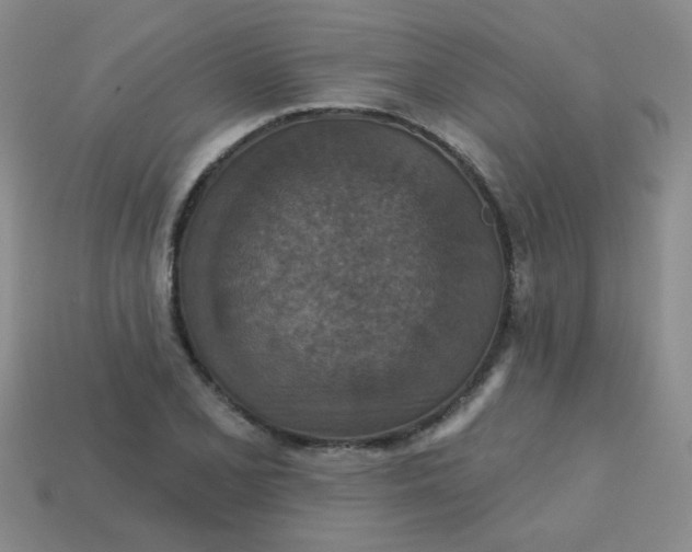 X0000113181077200909181848