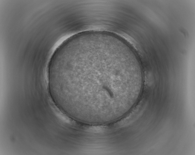 X0000113181078200909181848