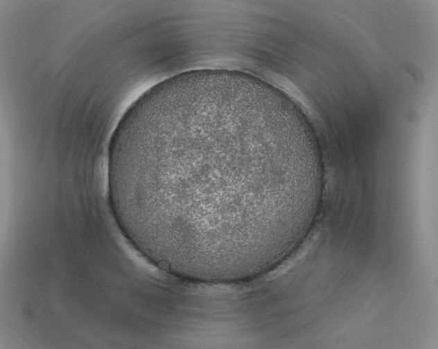 X0000113181079200909181848