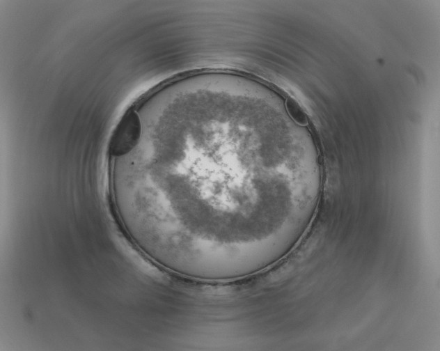 X0000113181080200909181848