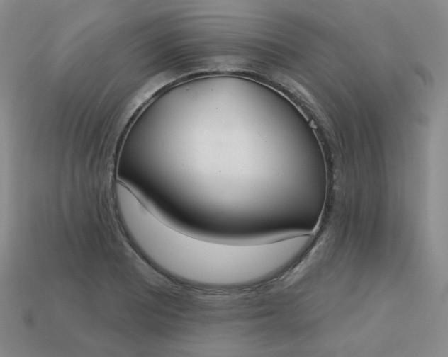 X0000113181081200909181848