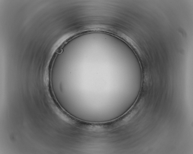 X0000113181082200909181848