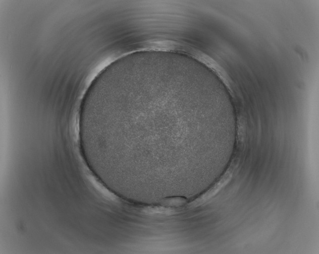 X0000113181083200909181848