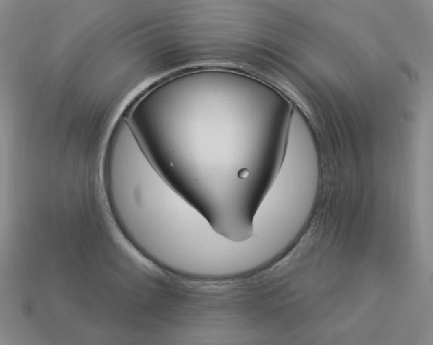 X0000113181084200909181848