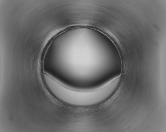 X0000113181085200909181848