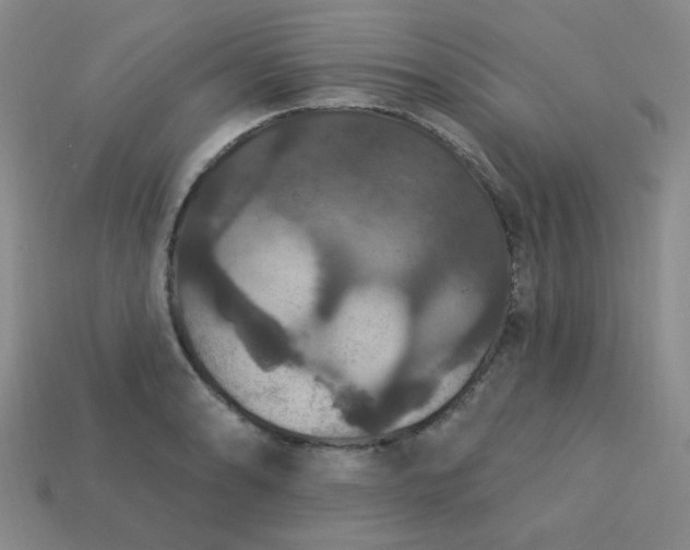 X0000113181086200909181848