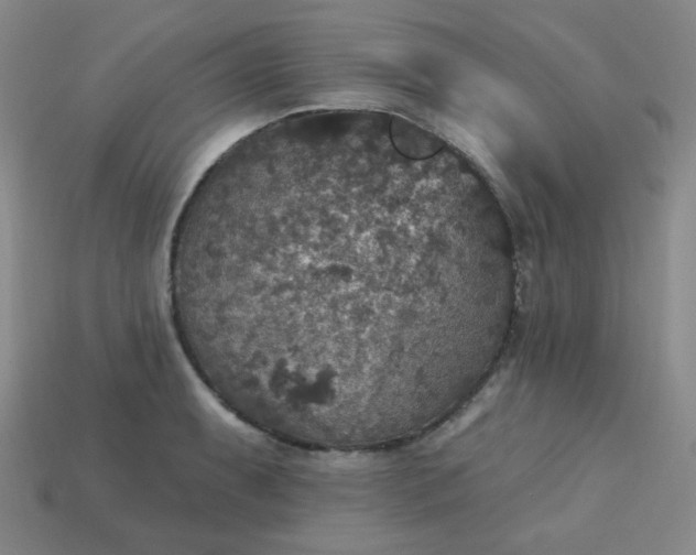 X0000113181087200909181848