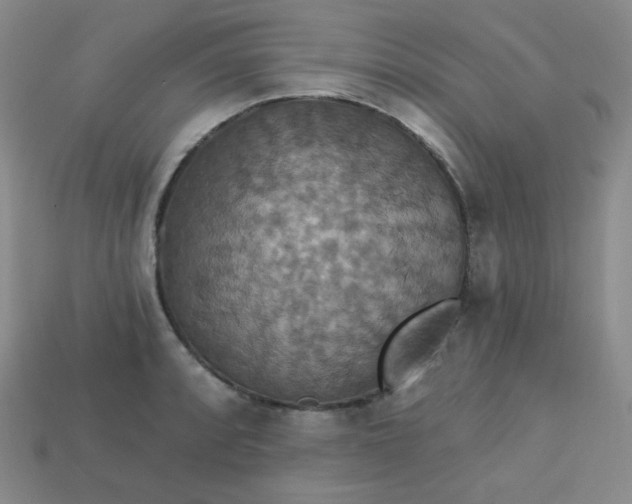 X0000113181088200909181848