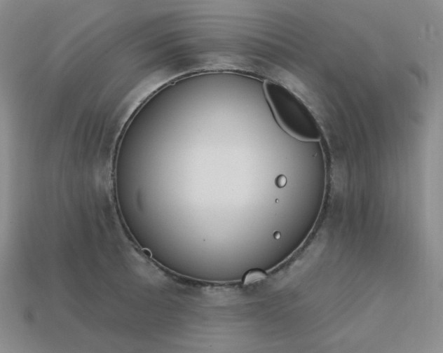 X0000113181089200909181848