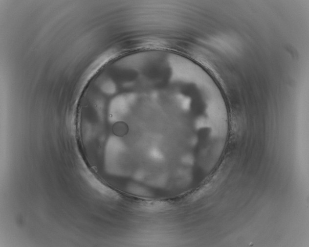 X0000113181090200909181848