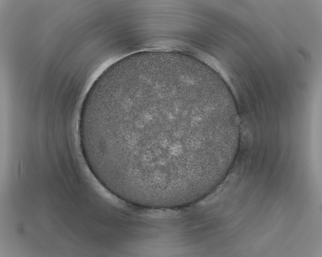 X0000113181091200909181848