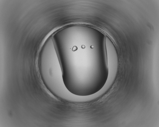 X0000113181092200909181848