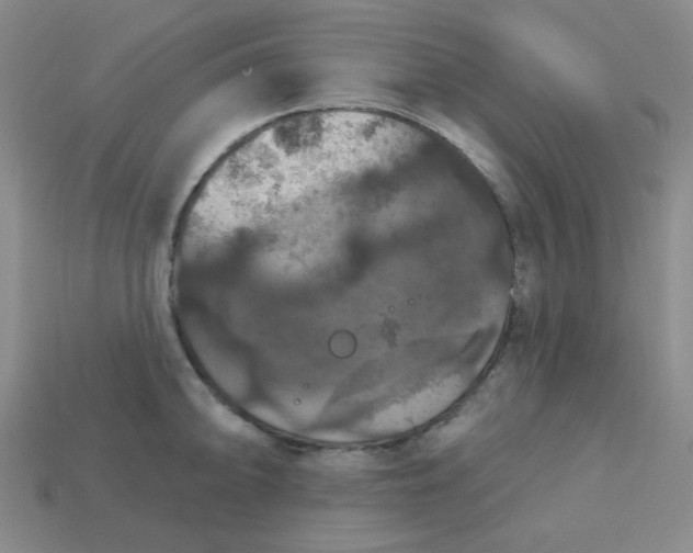 X0000113181094200909181848