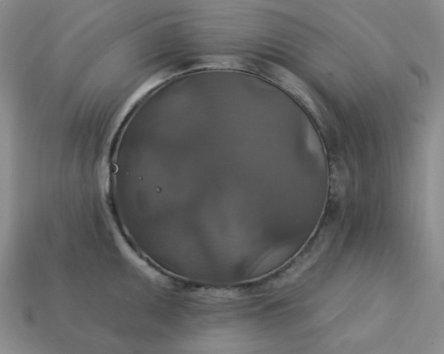 X0000113181095200909181848