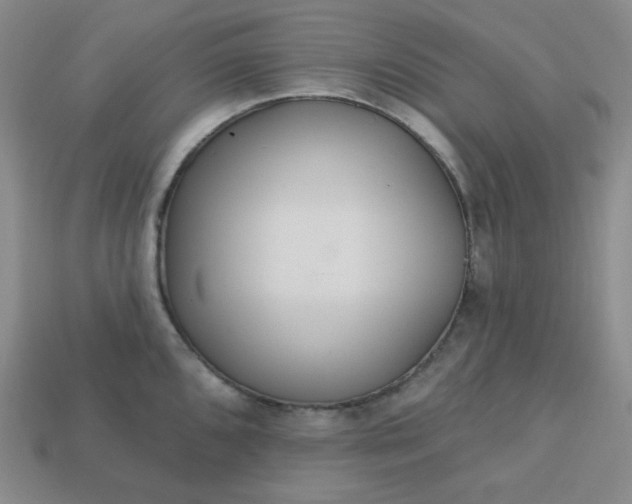 X0000113181096200909181848