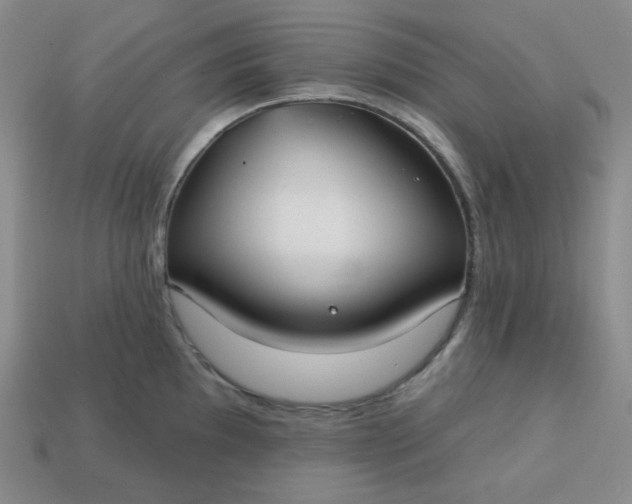 X0000113181097200909181848