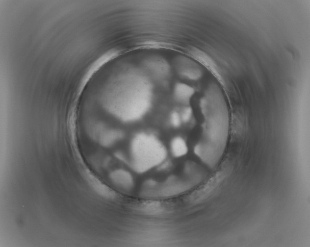 X0000113181098200909181848