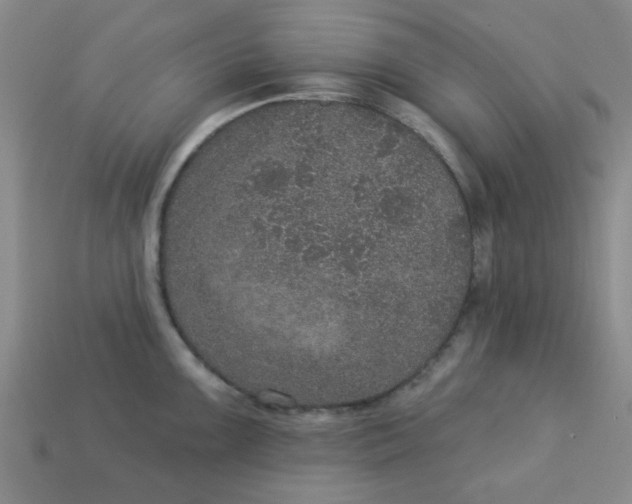 X0000113181099200909181848