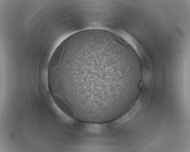 X0000113181100200909181848