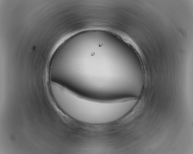 X0000113181101200909181848