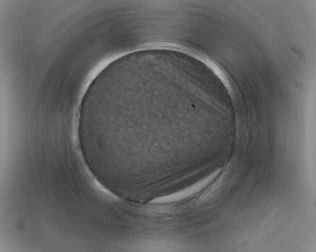 X0000113181102200909181848