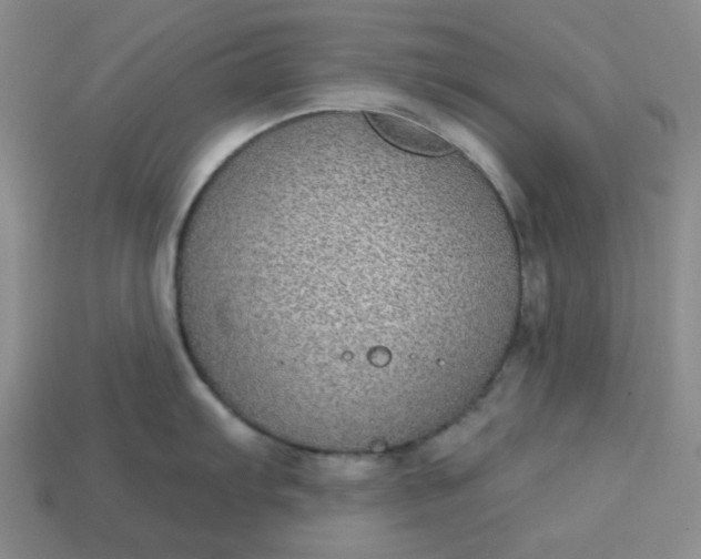 X0000113181103200909181848