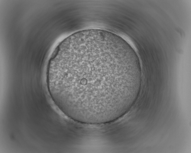 X0000113181104200909181848