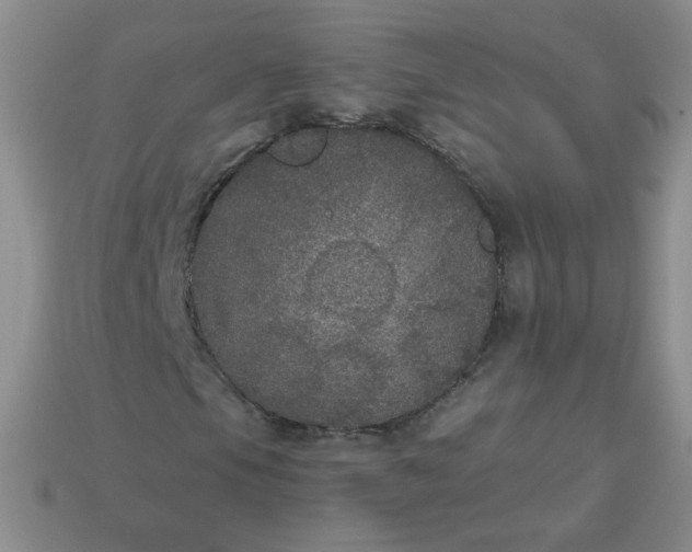 X0000113181105200909181847