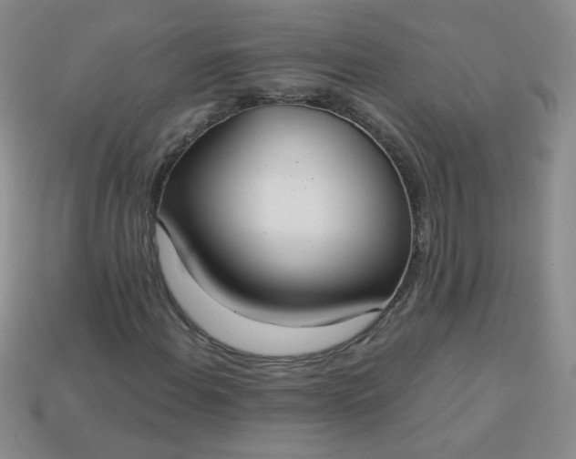 X0000113181108200909181847