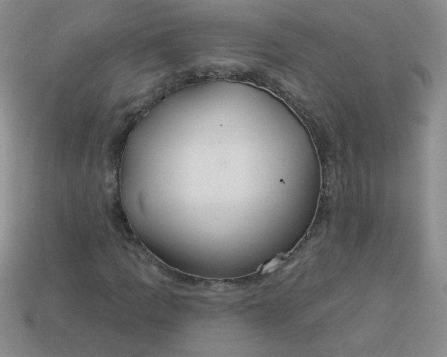 X0000113181109200909181847