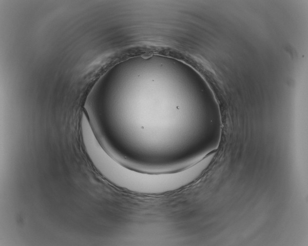 X0000113181110200909181847