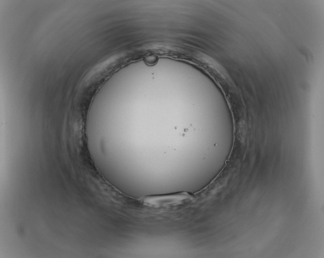 X0000113181111200909181847